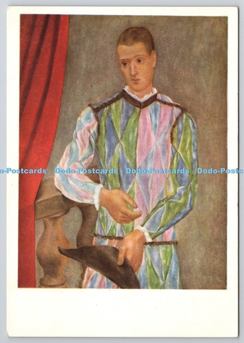 D305455 picasso harlequin - d305455, p
