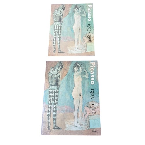 Pablo picasso 1905 1906 book - picasso,